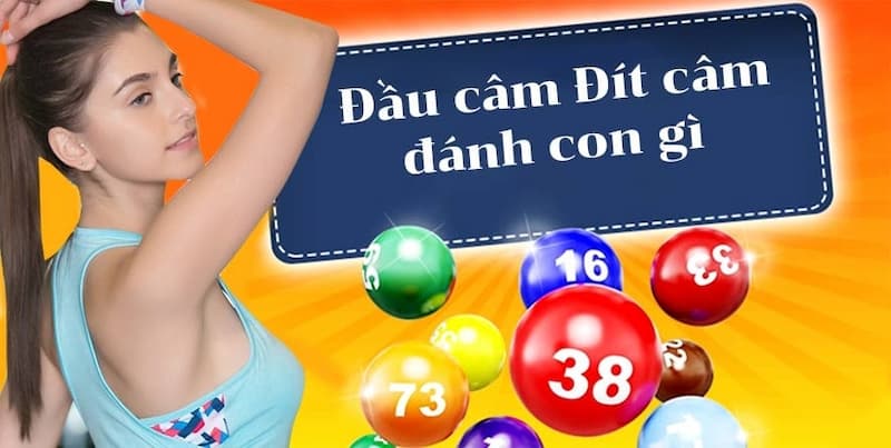 Đầu đít câm đánh lô gì được nhiều chơi số đề học hỏi