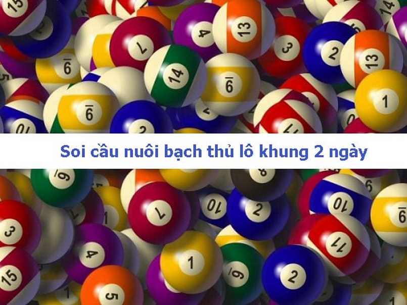 Bạch Thủ Lô Khung 2 Ngày Chuẩn Xác Nhất Miễn Phí 100% 3 Cách soi cầu nuôi bạch lô khung 2 ngày như thế nào là đúng?