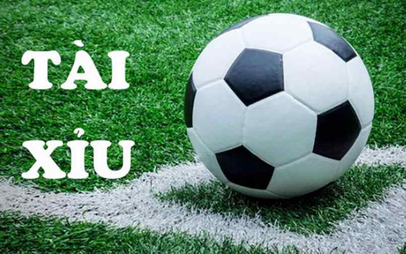 Hướng dẫn cách cá độ bóng đá tài xỉu tại nhà cái Betvisa 2 Có nhiều loại kèo tài xỉu bóng đá hiện nay